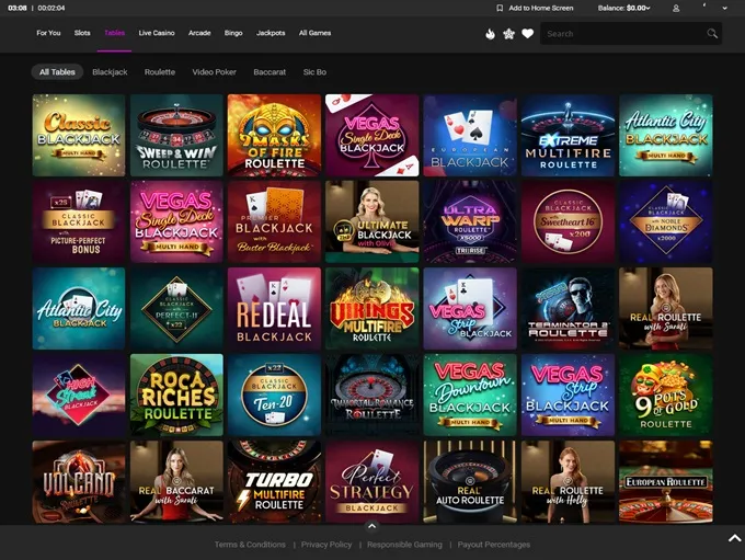 Blackjack Basics