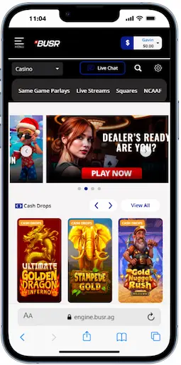 Mobile Platform Performance